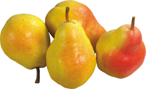 Pear PNG image-3455